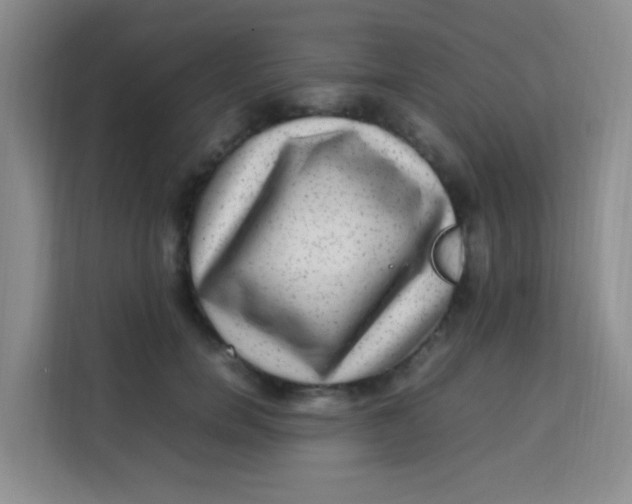 X0000113640750200910091536