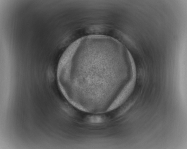 X0000113640751200910091536