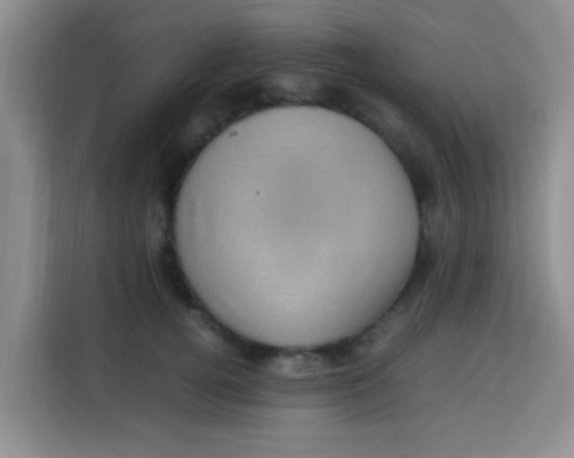 X0000113640752200910091536