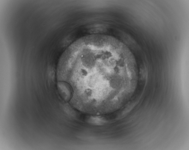 X0000113640753200910091536