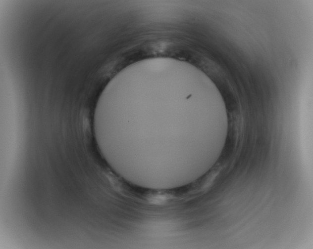 X0000113640754200910091536