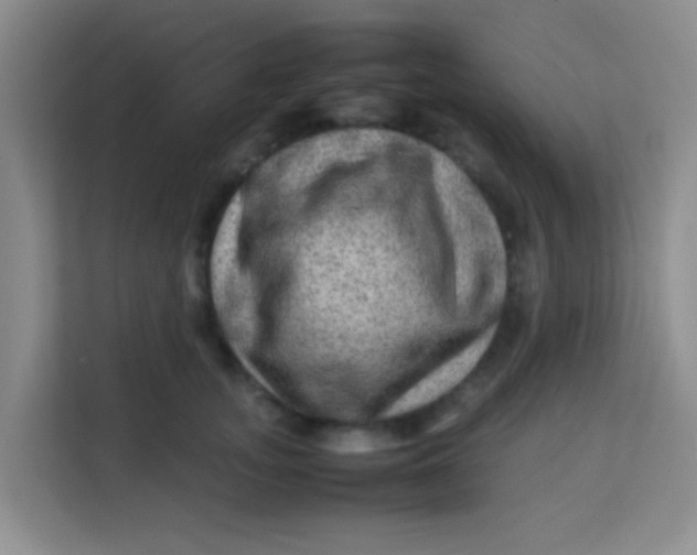 X0000113640755200910091536