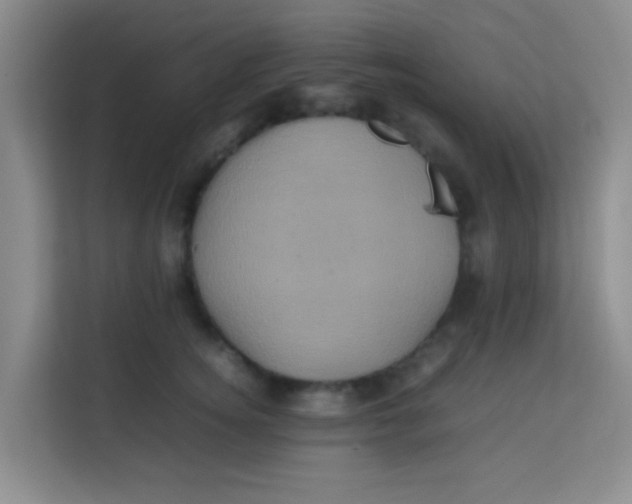 X0000113640756200910091536