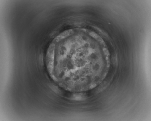 X0000113640757200910091536