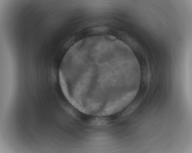 X0000113640758200910091536