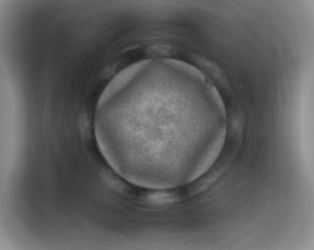 X0000113640759200910091536