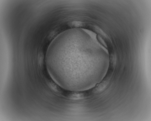 X0000113640760200910091536