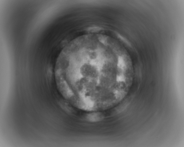 X0000113640761200910091536