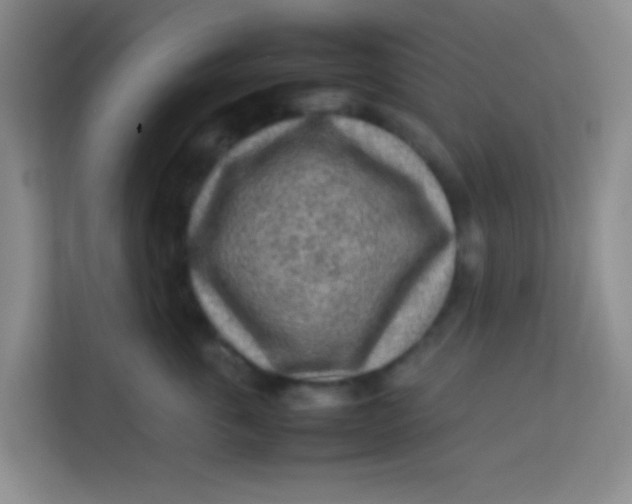 X0000113640763200910091536