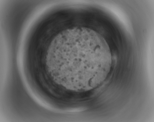 X0000113640765200910091536