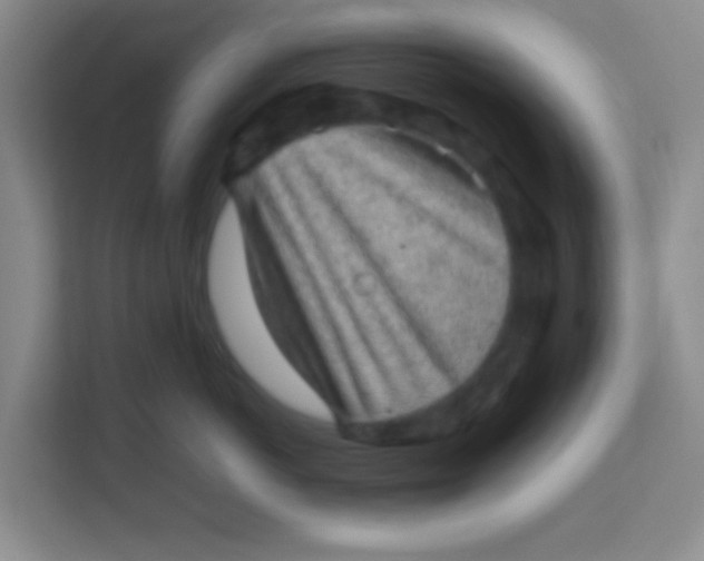 X0000113640766200910091536