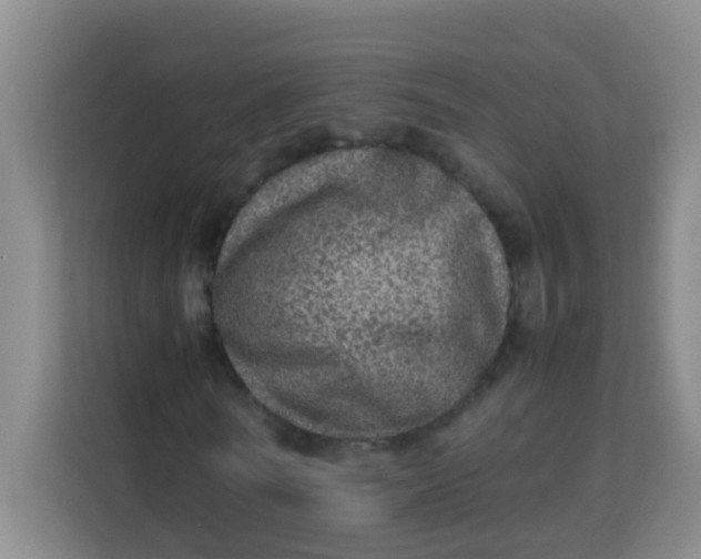 X0000113640770200910091536