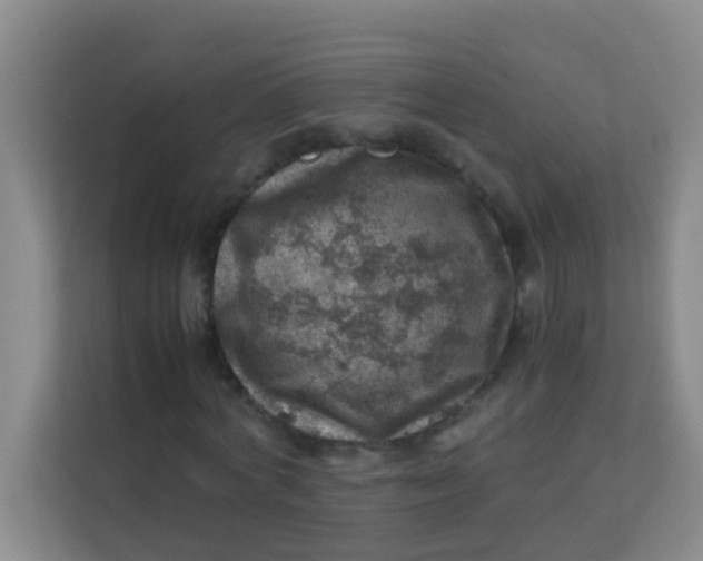 X0000113640772200910091536