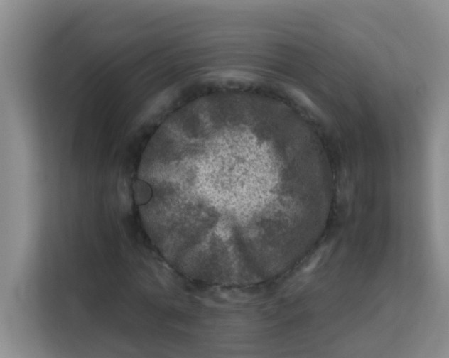 X0000113640774200910091536