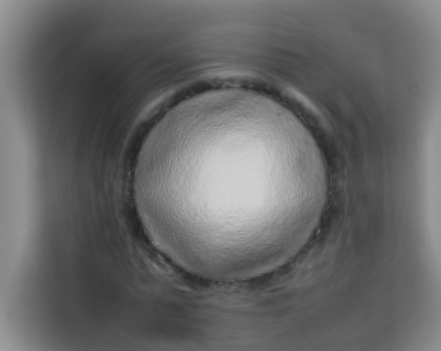 X0000113640775200910091536