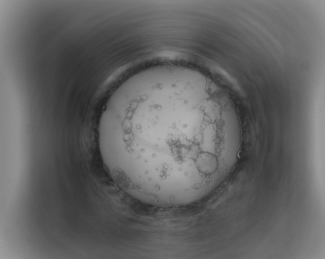 X0000113640776200910091536