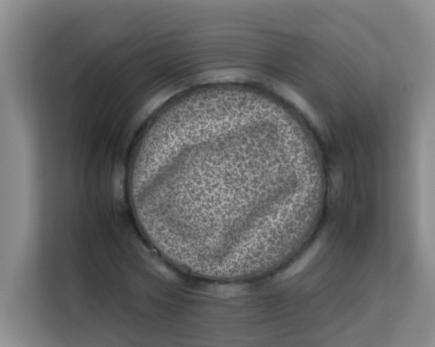 X0000113640778200910091536