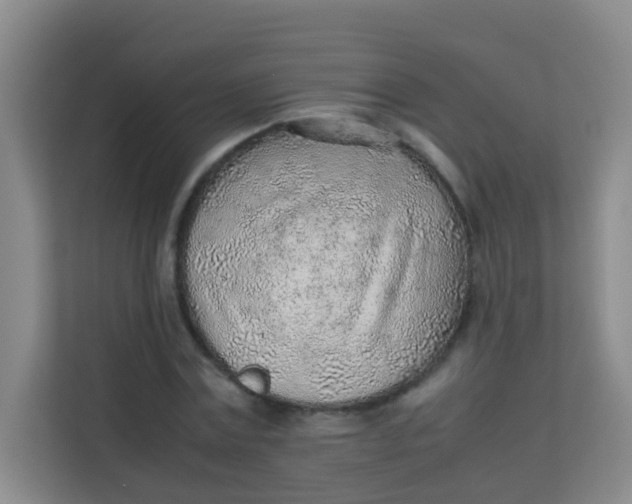 X0000113640779200910091536