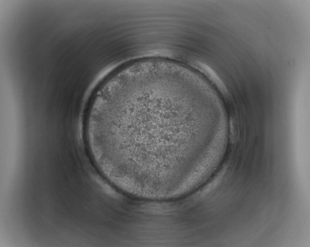 X0000113640780200910091536