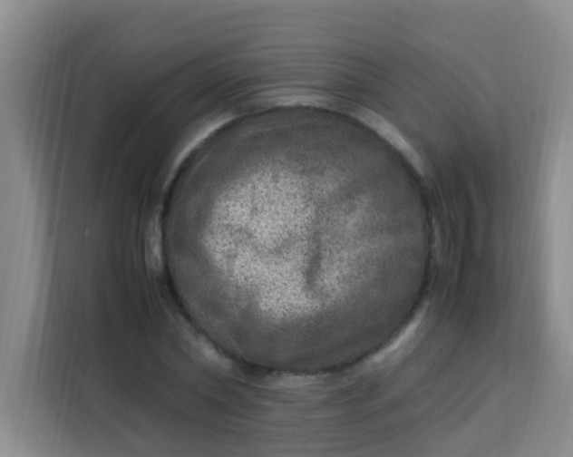 X0000113640782200910091536