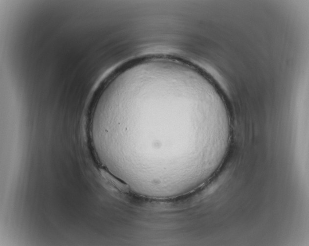 X0000113640783200910091536