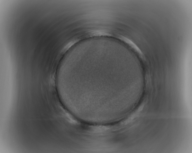 X0000113640785200910091536