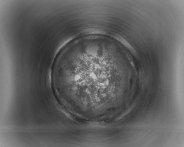 X0000113640790200910091536