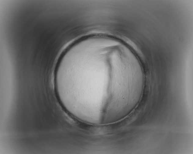 X0000113640791200910091536