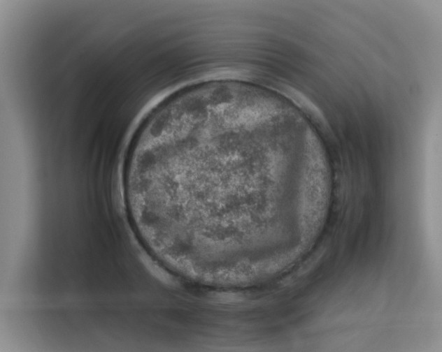 X0000113640792200910091536