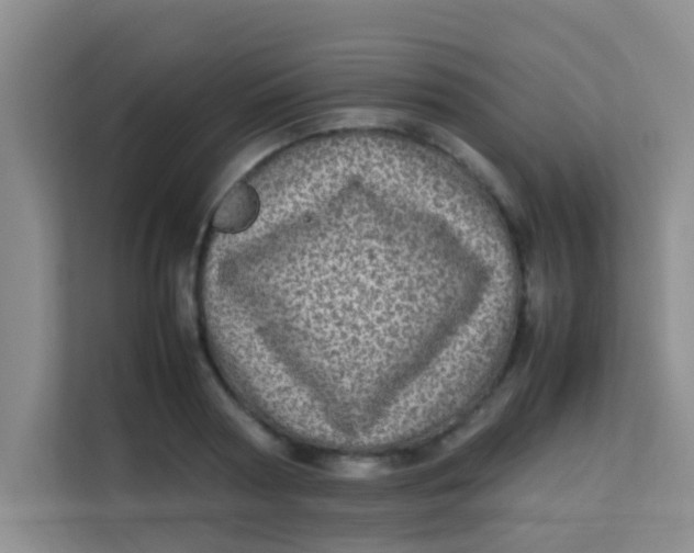 X0000113640794200910091536