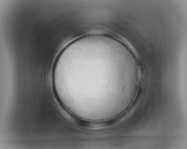 X0000113640795200910091536