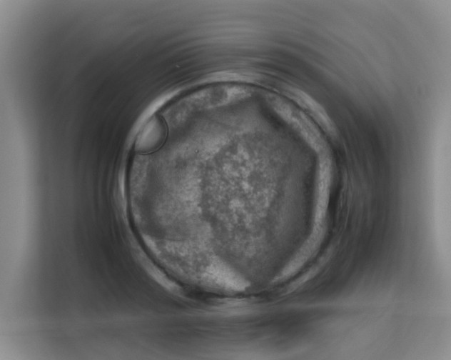 X0000113640796200910091536