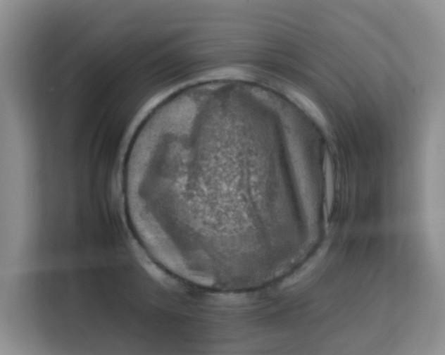 X0000113640800200910091535