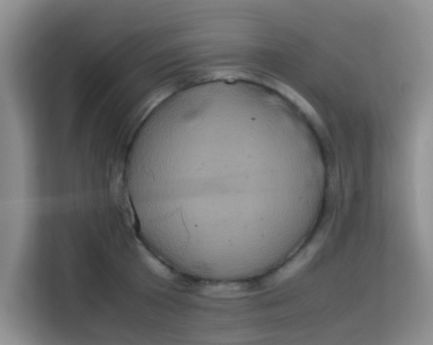 X0000113640801200910091535