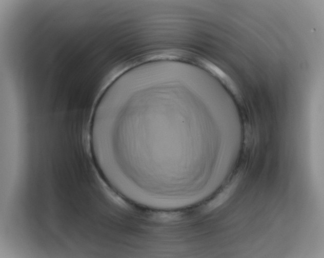 X0000113640802200910091535