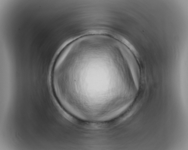 X0000113640803200910091535