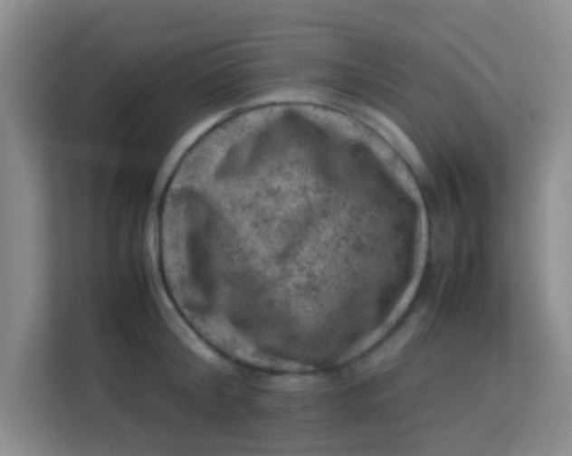 X0000113640804200910091535