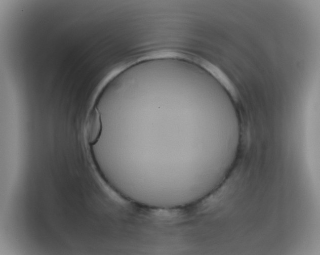 X0000113640805200910091535