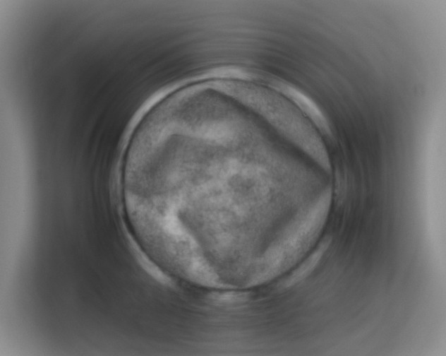 X0000113640808200910091535