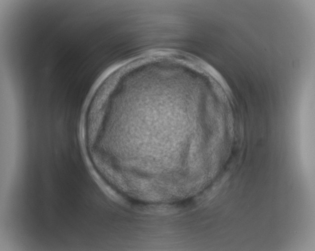 X0000113640811200910091535