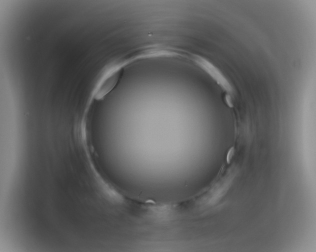 X0000113640813200910091535