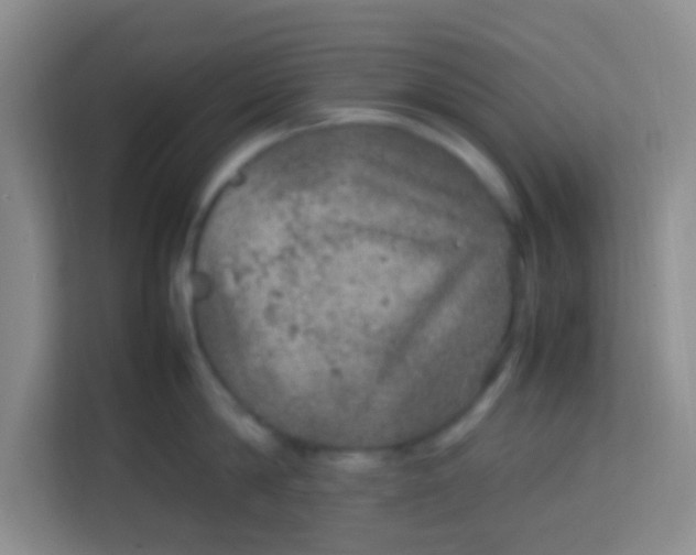 X0000113640814200910091535