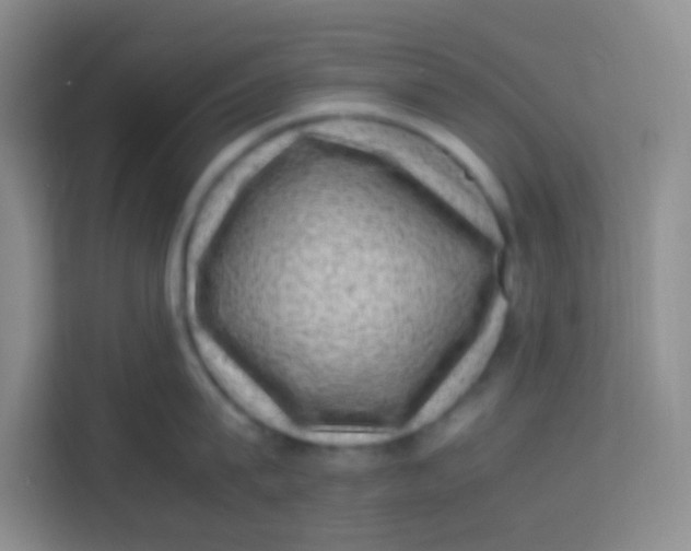 X0000113640815200910091535