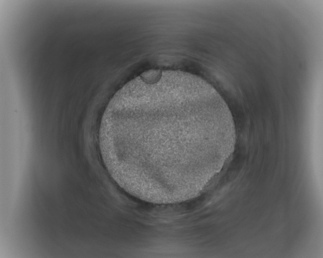 X0000113640817200910091535