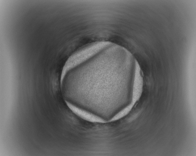 X0000113640818200910091535