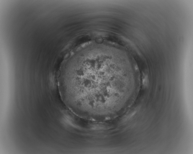 X0000113640819200910091535