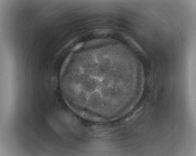 X0000113640821200910091535