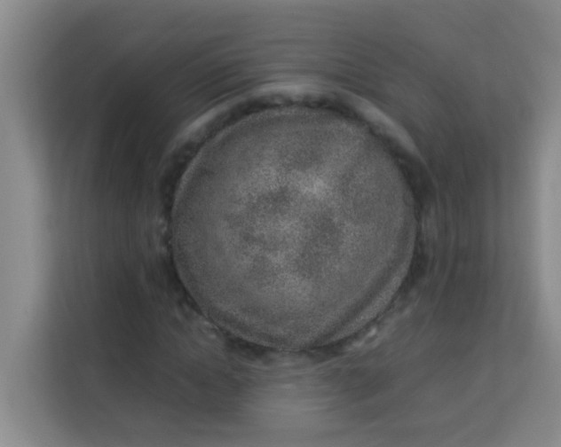 X0000113640822200910091535