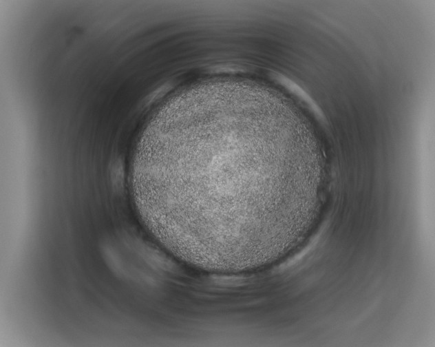 X0000113640825200910091535