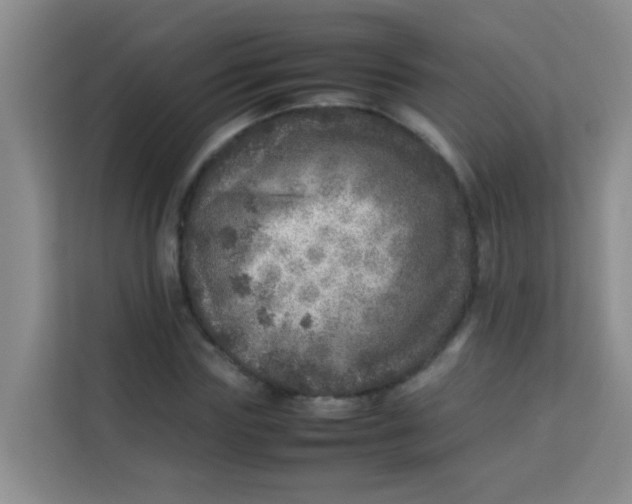 X0000113640827200910091535